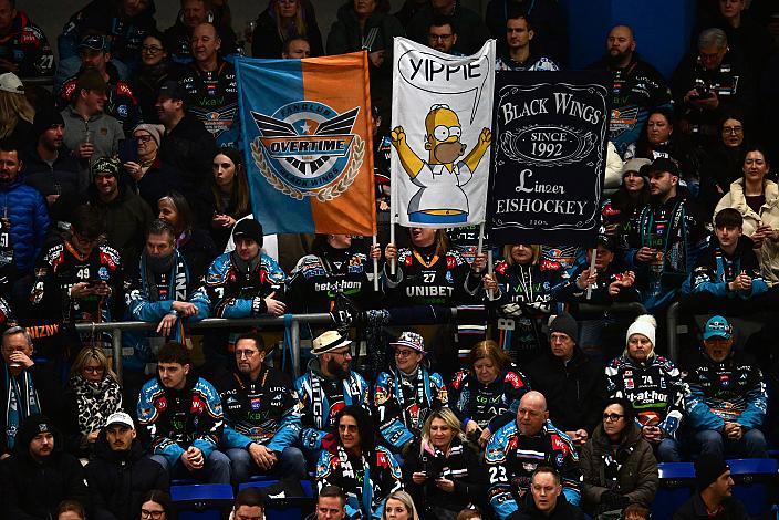 Fans der Steinblach Black Wings, 41. Runde ICE, Steinbach Black Wings Linz vs EC KAC, Linz AG Eisarena 
