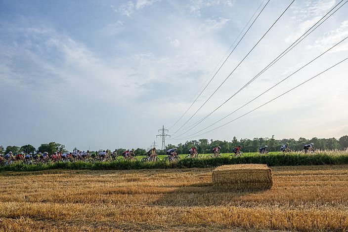 Das Peloton bei Marchtrenk 1. Etappe Marchtrenk  - Marchtrenk, Int. Oberösterreichische Versicherung OÖ Junioren Oberösterreich Rundfahrt