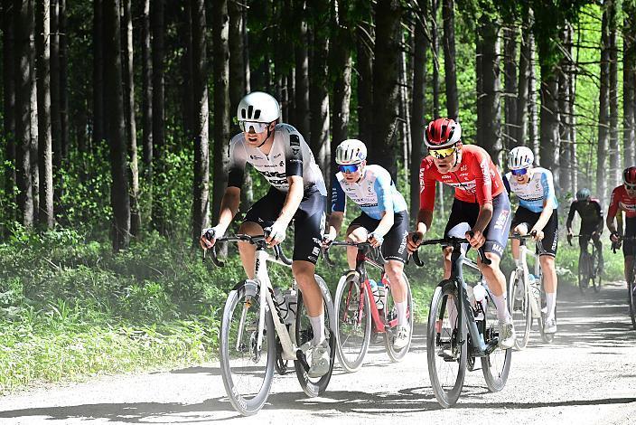 Herren Elite, U23, Road Cycling League Austria