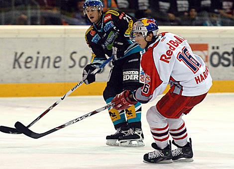 #16 Patrick Harand, Stuermer, Red Bulls Salzburg.