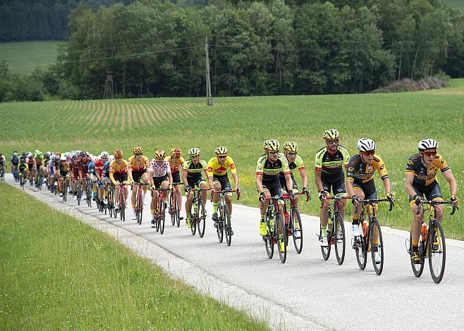 Das Feld auf der Schlussrunde in Ternberg, 3. Etappe Traun - Ternberg, Radsport 10. Int. OOE Rundfahrt  