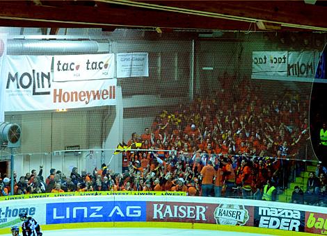 Die Fans der Vienna Capitals in der Linzer Eishalle.