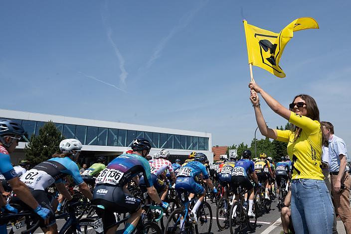 Ds Peleton am Start bei der Fa. Stöcker in Eferding 1. Etappe Eferding - Geinberg, Int. Raiffeisen Oberösterreich Rundfahrt UCI Kat. 2.2