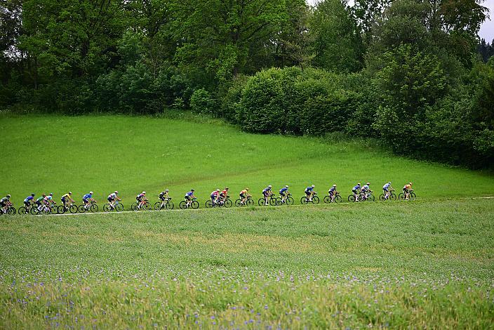Das Peloton auf der 2. Etappe unterwegs von , Wels nach Aigen - Schlägl, 14. Int. Raiffeisen OÖ-Radrundfahrt UCI Kat. 2.2
