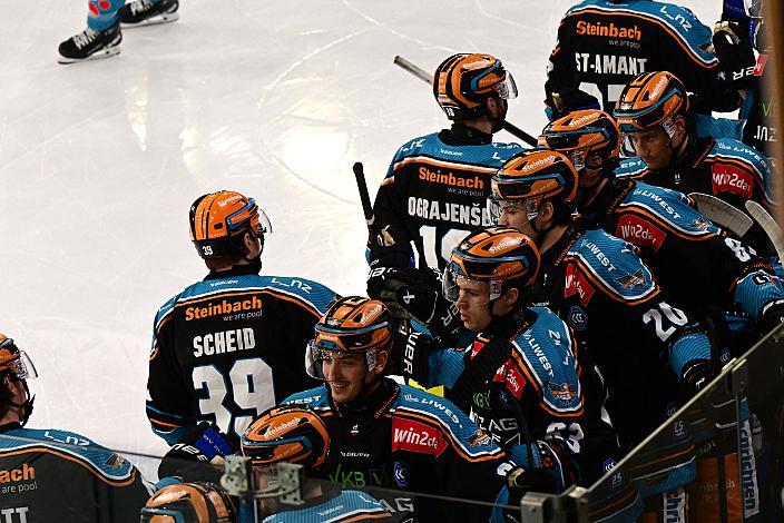 Torjubel an der Bande  Win2Day ICE Hockey League,  Steinbach Black Wings Linz vs  Pioneers Vorarlberg,  Linz AG Eisarena 