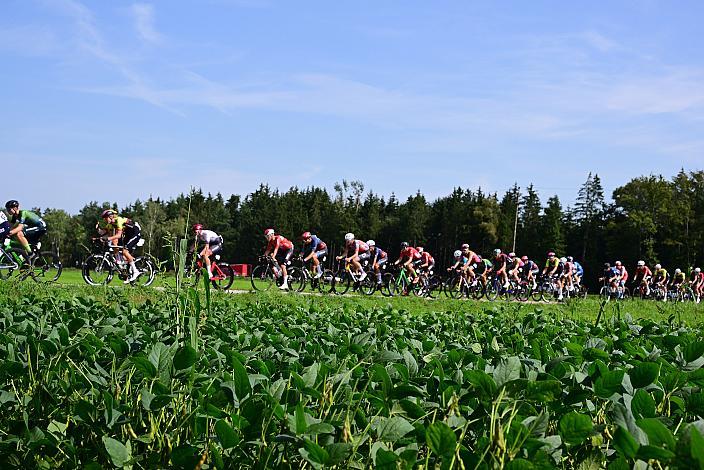 Road Cycling League Ranshofen, OÖ