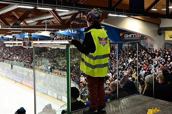 Fans beim Spiel der Steinbach Black Wings Linz Win2Day ICE Hockey League,  Steinbach Black Wings Linz vs Pioneers Vorarlberg,  Linz AG Eisarena 