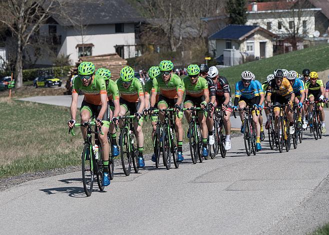 Das Hauptfeld beim Kirschbluetenrennen Jonas Rapp (GER, Hrinkow Advarics Cycleang)