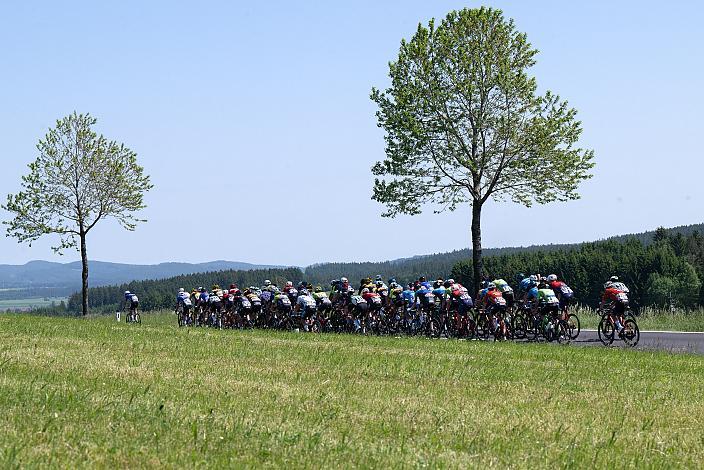 Das Peleton in Bad Leonfelden, 2. Etappe Wels - Bad Leonfelden, Int. Raiffeisen Oberösterreich Rundfahrt UCI Kat. 2.2