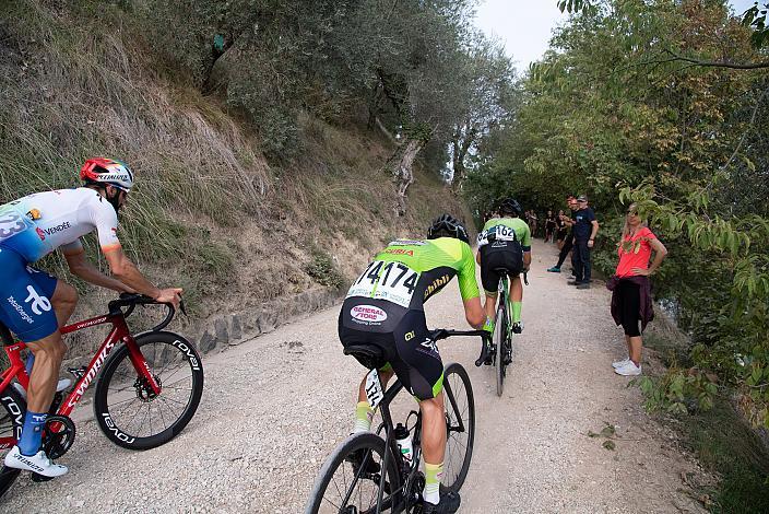 das Peleton im Anstieg zur Diesel Farm, Veneto Classic, Treviso - Bassano del Grappa, Veneto, ITA 190km