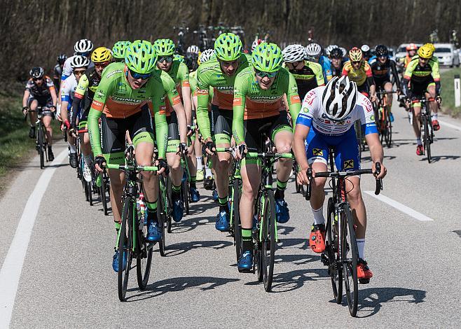 Das Hauptfeld beim Kirschbluetenrennen Daniel Eichinger (AUT, Hrinkow Advarics Cycleang Team), Nils Friedl (AUT, Hrinkow Advaraics Cycleang Team), Andreas Graf (AUT, Hrinkow Advarics Cycleang Team) 