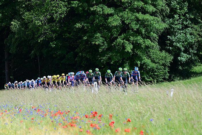 Team Hrinkow Advarics 2. Etappe Eferding - Reichersberg, Oberösterreich Rundfahrt