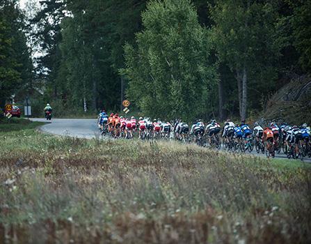 Das Hauptfeld des Velothon Stockholm.