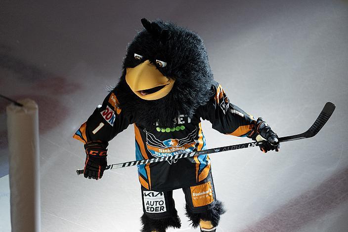 Das Steinbach Blackwings Linz Maskottchen Gonzo Jr Steinbach Black Wings Linz vs HC Tiwag Innsbruck - Die Haie, bet-at-home ICE Hockey League