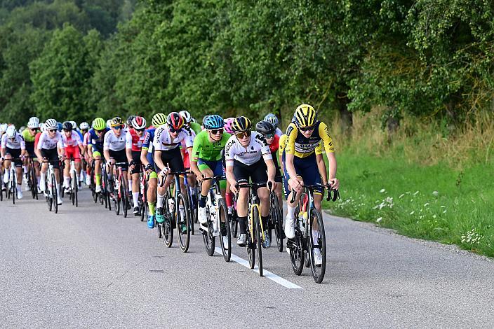 Das Peloton am Mistelbacher Berg, 1. Etappe Marchtrenk  - Marchtrenk, Int. Oberösterreichische Versicherung OÖ Junioren Oberösterreich Rundfahrt