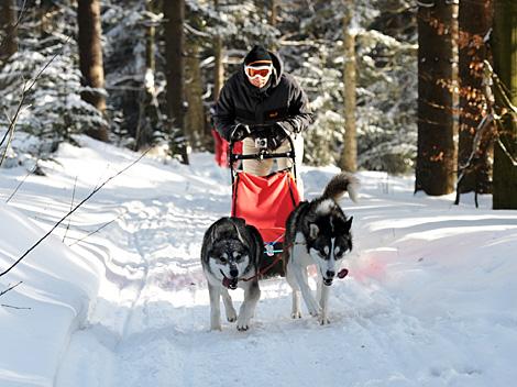 Gregor Baumgartner, EHC Liwest Black Wings Linz zu Gast auf der Mountain Wulf Farm