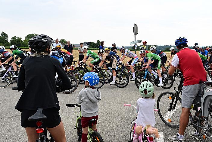 Das Peloton in der 3. Etappe,  51. Int. Oberösterreich Junioren Rundfahrt, Bad Wimsbach - Strass im Attergau