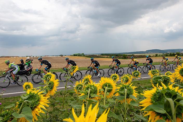 Pete Kennaugh, GBR, Team Sky, 8. Etappe Podersdorf, Burgenland - Wien