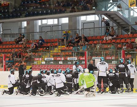 Robert Daum, Trainer EHC Liwest Black Wings Linz