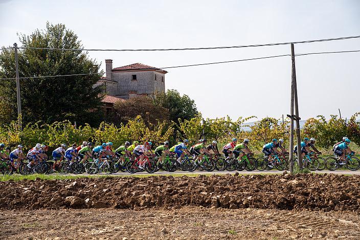  Giro del Veneto UCI 1.1, Padova - Vicenza