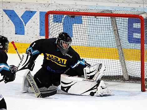Christoph Lindenhofer, Linz, EHC Liwest Linz vs. Dab. Docler Dunaujvaros 