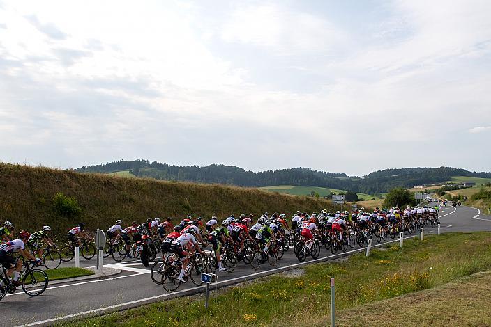 Das  Feld der Fahrer bei Arnreit, 46. Int. Keine Sorgen,  Junioren Rundfahrt UCI Kat. MJ 2.1, 2. Etappe Rohrbach - Rohrbach