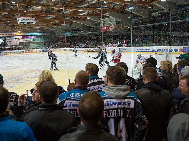 Volles Haus in Linz, EHC Liwest Black Wings Linz vs EC Red Bull Salzburg, Halbfinale, Semifinale, Play-Offs 