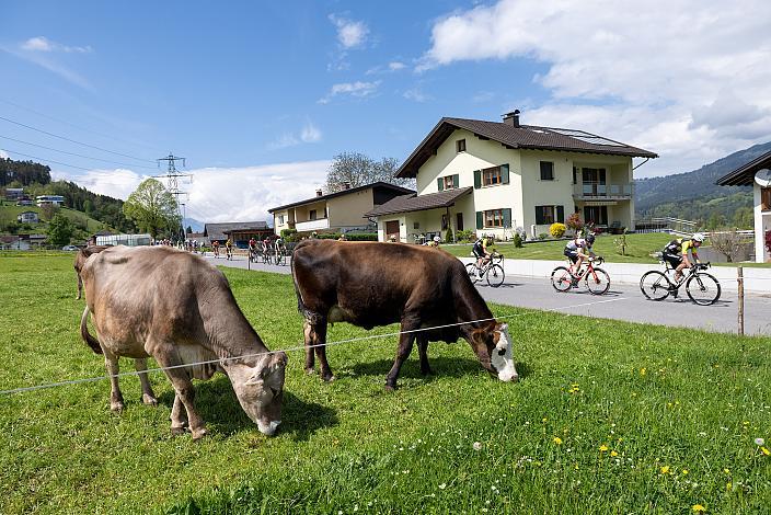 Herren Elite, U23, Radliga, GP Vorarlberg, Nenzing