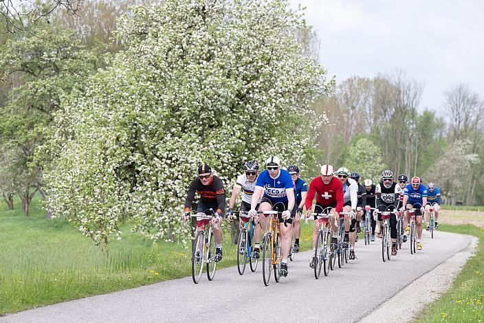 7. Kirschblüten Radklassik, Rad Klassik, Oldtimer, Vintage, Stahlrad, Radsport, Eferding, Oberösterreich