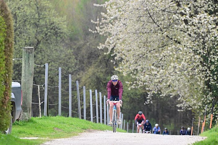 10. Kirschblüten Radklassik, Rad Klassik, Oldtimer, Vintage, Stahlrad, Radsport, Eferding, Oberösterreich