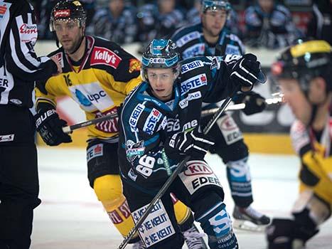 Stefan Gaffal, Linz EHC Liwest Black Wings Linz vs UPC Vienna Capitals