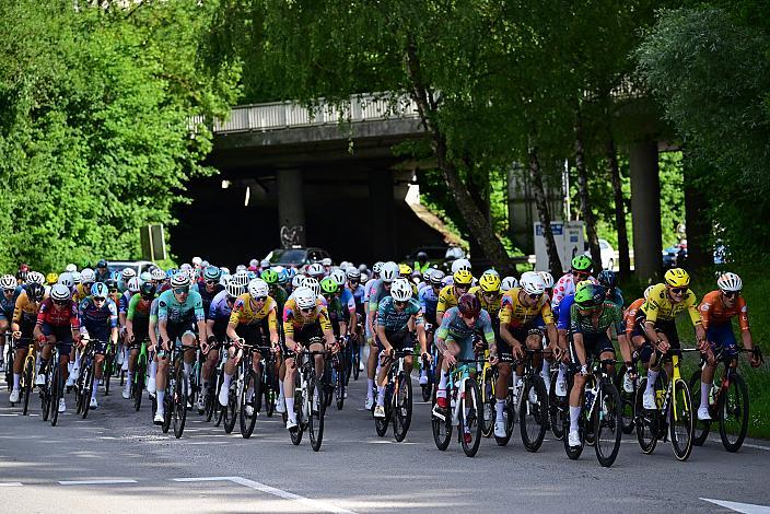 Das Peloton unterwegs im Traunviertel  3. Etappe Asten - Bad Schallerbach, Oberösterreich Rundfahrt