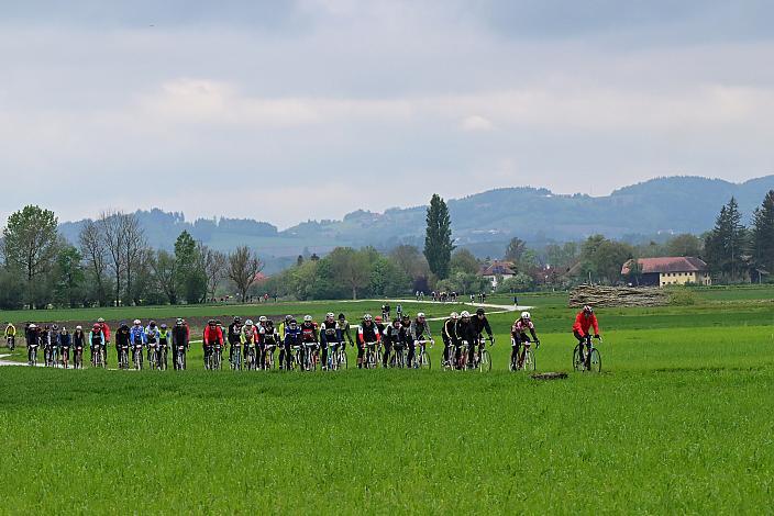 8. Kirschblüten Radklassik, Rad Klassik, Oldtimer, Vintage, Stahlrad, Radsport, Eferding, Oberösterreich