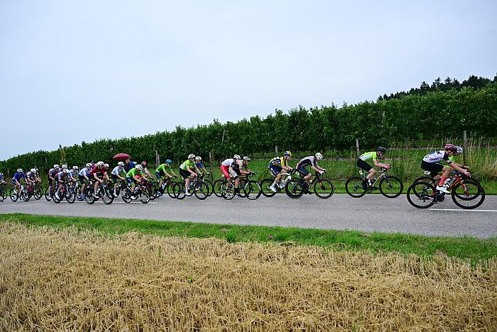 Das Peloton am Mistelbacherberg, 50. OÖ Junioren Rundfahrt, 1. Etappe Marchtrenk - Marchtrenk