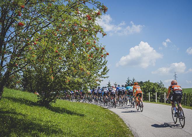 7. Etappe Waidhofen/Ybbs - Sonntagberg 70. Ã–sterreich Rundfahrt 