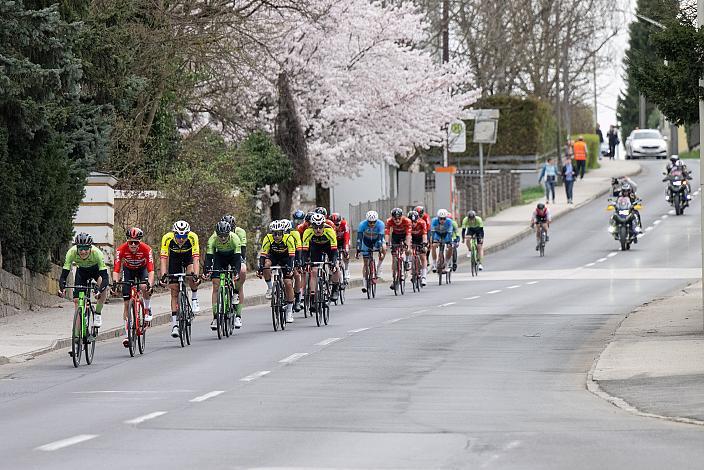 Das Peleton in Leonding Herren Elite, U23, Radliga, 62. Radsaison-Eröffnungsrennen Leonding, Oberösterreich