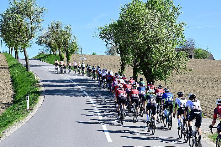 Herren Elite, U23, Road Cycling League Austria, 64. Raika Kirschbluetenrennen, Wels, Oberösterreich