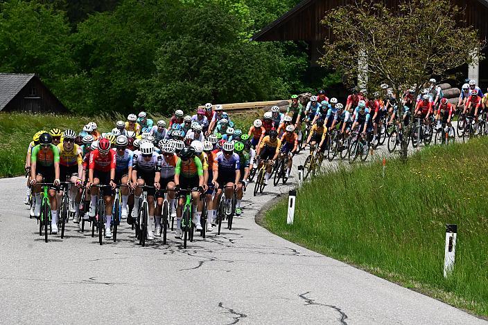 Das Peloton unterwegs im Mühlviertel 4. Etappe Aigen - Schlägl - Aigen - Schlägl, 16. Int. Oberösterreich Rundfahrt