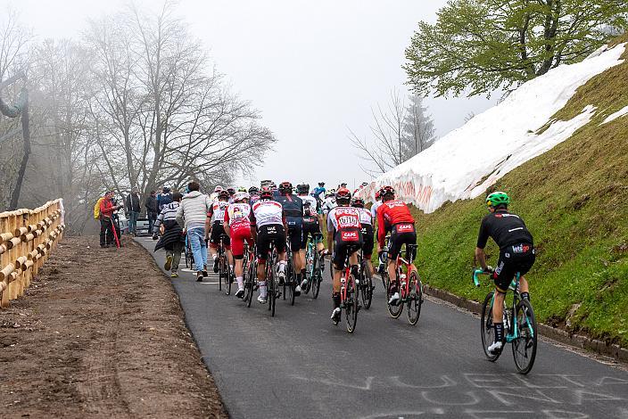 Das Feld im Anstieg zum Ziel. Stage 14 Cittadella - Monte Zoncolan (205km), 104. Giro d Italia, UCI Worl Tour