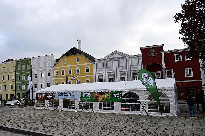 Rennrad, Frühling, Kirschblüten Radklassik, Oberösterreich, 