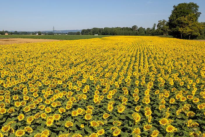 Radtour im Mühlviertel Oberösterreich