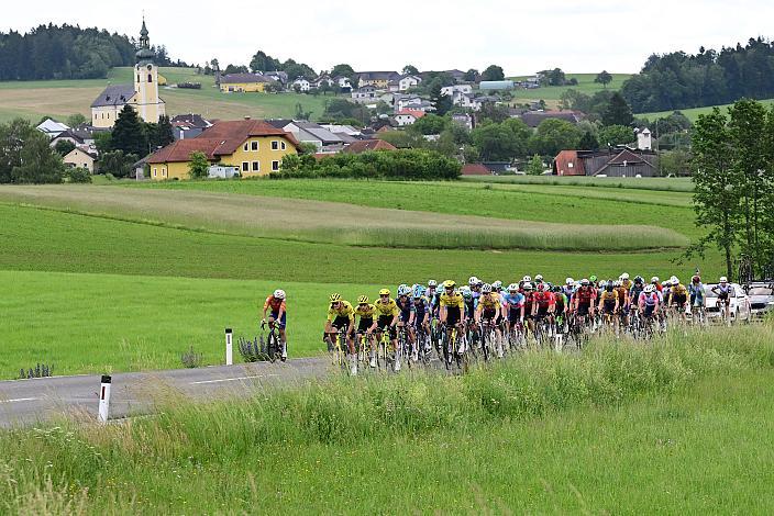 Das Peloton unterwegs im Mühlviertel 4. Etappe Aigen - Schlägl - Aigen - Schlägl, 16. Int. Oberösterreich Rundfahrt