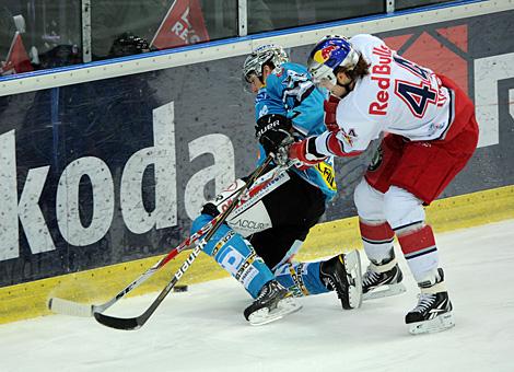 Jason Ward, Linz an der Bande mir dem Salzburgert Douglas Lynch, Liwest Black Wings Linz vs. EC Red Bull Salzburg