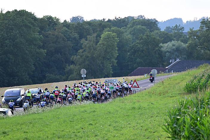 Das Peloton bei Marchtrenk, 1. Etappe Marchtrenk  - Marchtrenk, Int. Oberösterreichische Versicherung OÖ Junioren Oberösterreich Rundfahrt