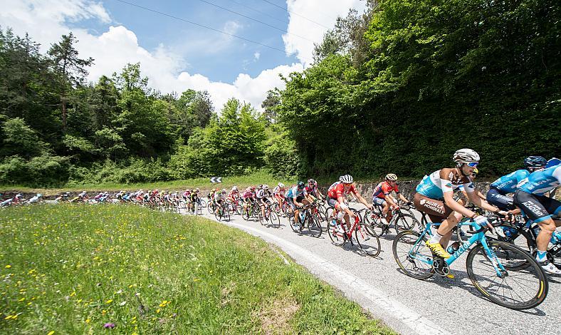 Das Feld im Anstieg nach Ampezzo Tolmezzo -  Sappada 176km