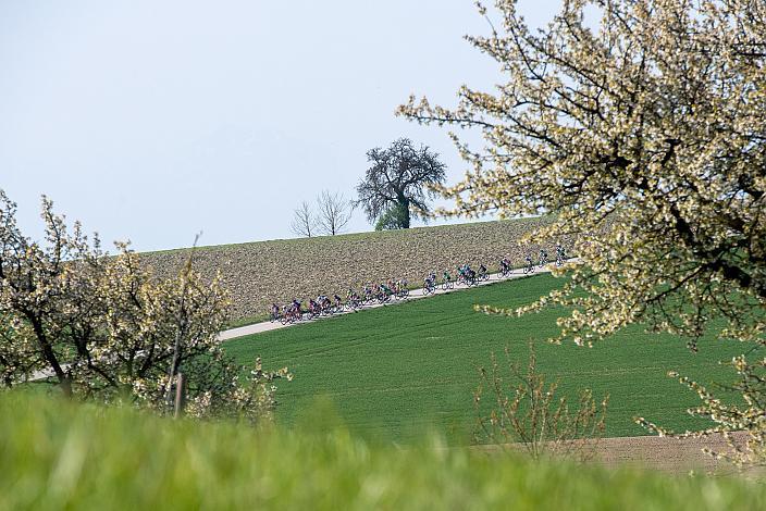 Damen Radliga, 69. Kirschblütenrennen Wels, Oberösterreich 