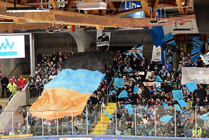 Fans beim Spiel 2 Pre-Playoffs,  ICE, Steinbach Black Wings Linz vs EC iDM Wärmepumpen VSV, Linz AG Eisarena 