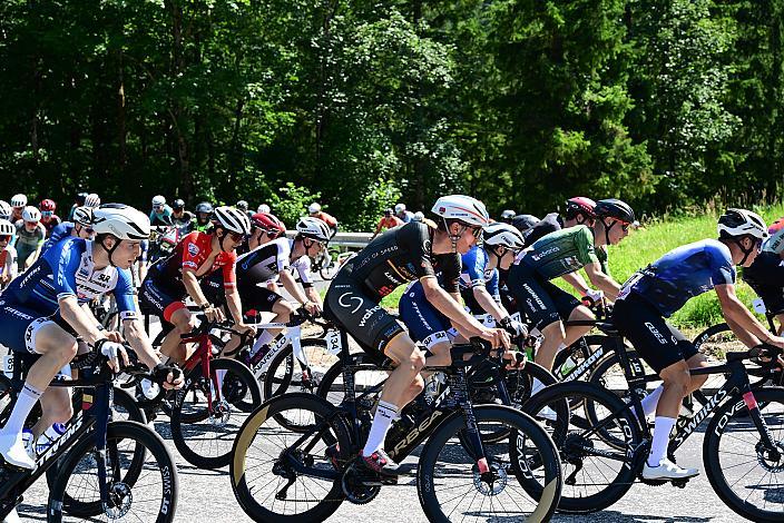 Das Peloton unterwegs in der Region Ybbstal, bei Hollenstein an der Ybbs, Vier Länder Meisterschaft U23,  Austria