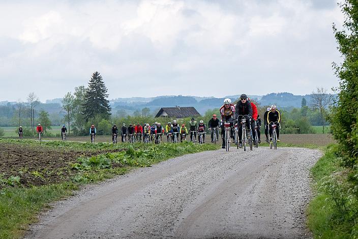 Rennrad, Frühling, Kirschblüten Radklassik, Oberösterreich, 