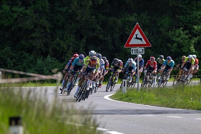 Herren Elite, U23, Road Cyling League Austria, Radliga, GP Vorarlberg, Nenzing